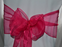 Organza Chair Sash